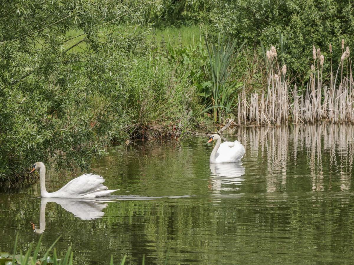 Willow Lodge Brough  Екстер'єр фото
